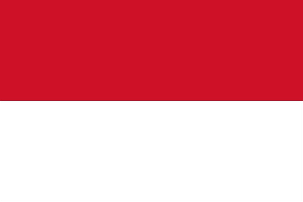 NotJustEurope's tweet photo. The people of Indonesia are dealing with an unfair government prioritizing nepotism instead of peoples freedom of democracy. That is never OK regardless of country. if you would please, just re-tweet this thread and what I quote retweeted! More people need to know! Thank u:) https://t.co/4yUSoDhuxC