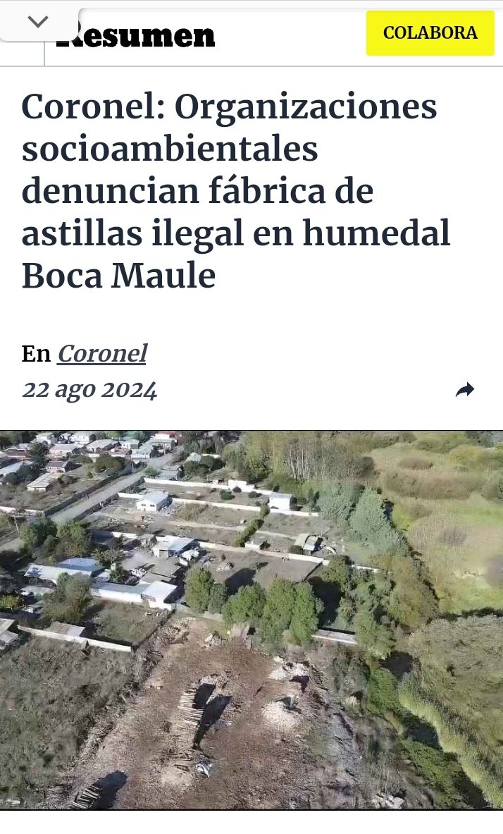 "los líquidos que se filtran a través de las napas subterráneas al curso del humedal. Debemos aclarar que la leña que se fabrica en el lugar viene de plantaciones qué son tratadas con químicos que a la larga van quedando en el humedal" ...

resumen.cl/articulos/coro…