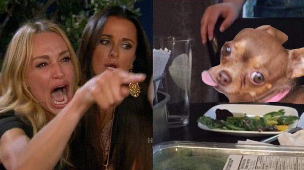 Humpy the Dog tweet media