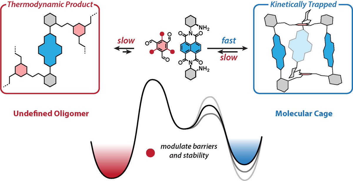 It is cages time🤗🎉 Have a look at our new preprint on Kinetic Trapping of Rylene Diimide Covalent Organic Cages | ChemRxiv - go.shr.lc/4dphzmF
Great experimental work by Sergey Fisher, <a href="/HuaHuang235/">Hsin-Hua Huang</a> and Luise Sokoliuk🙌🏻 We 🙏🏻<a href="/ERC_Research/">European Research Council (ERC)</a>, <a href="/snsf_ch/">Swiss National Science Foundation</a>,<a href="/HimsUva/">Van 't Hoff Institute for Molecular Sciences UvA</a>,<a href="/UniBasel_en/">University of Basel</a>