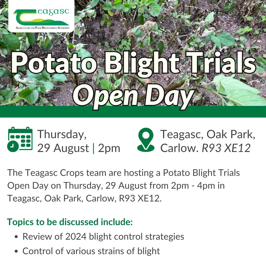 Join the <a href="/TeagascCrops/">Teagasc Tillage Team</a> team on Thursday, 29th August from 2pm - 4pm for a Potato Blight Open Day in Teagasc, Oak Park, Carlow. Topics to be discussed include the control of various strains of blight.
Find out more here bit.ly/3WMcMVq