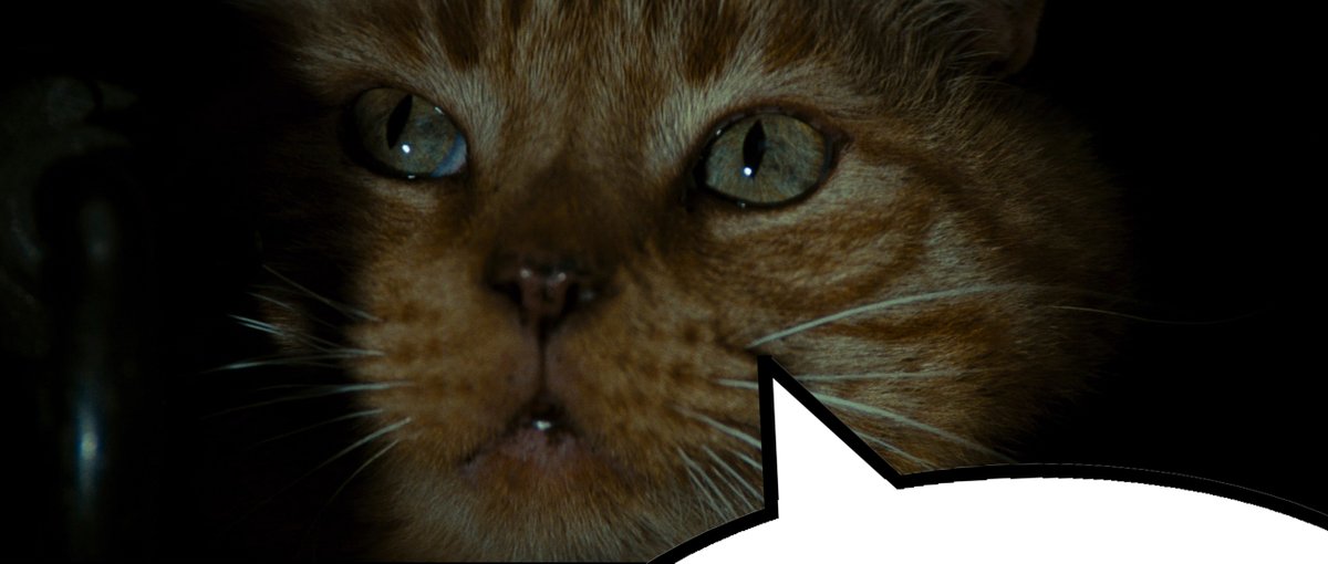 One Perfect Shot (@oneperfectshot) on Twitter photo 