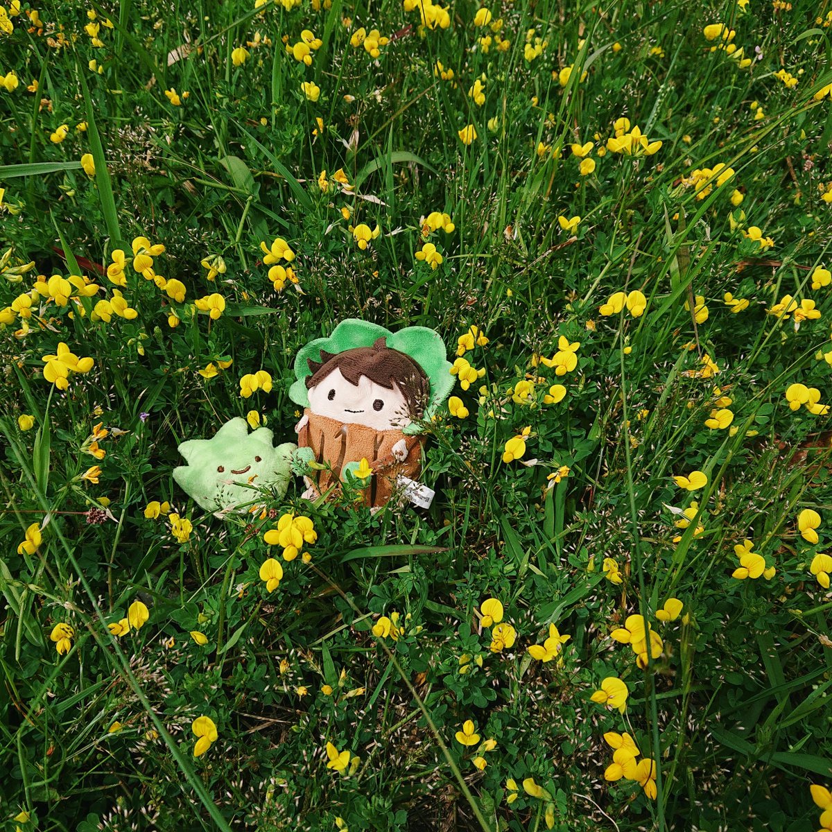 H3uHu1's tweet photo. 🌳🌱💚🌼 https://t.co/HS4mIwdNaG