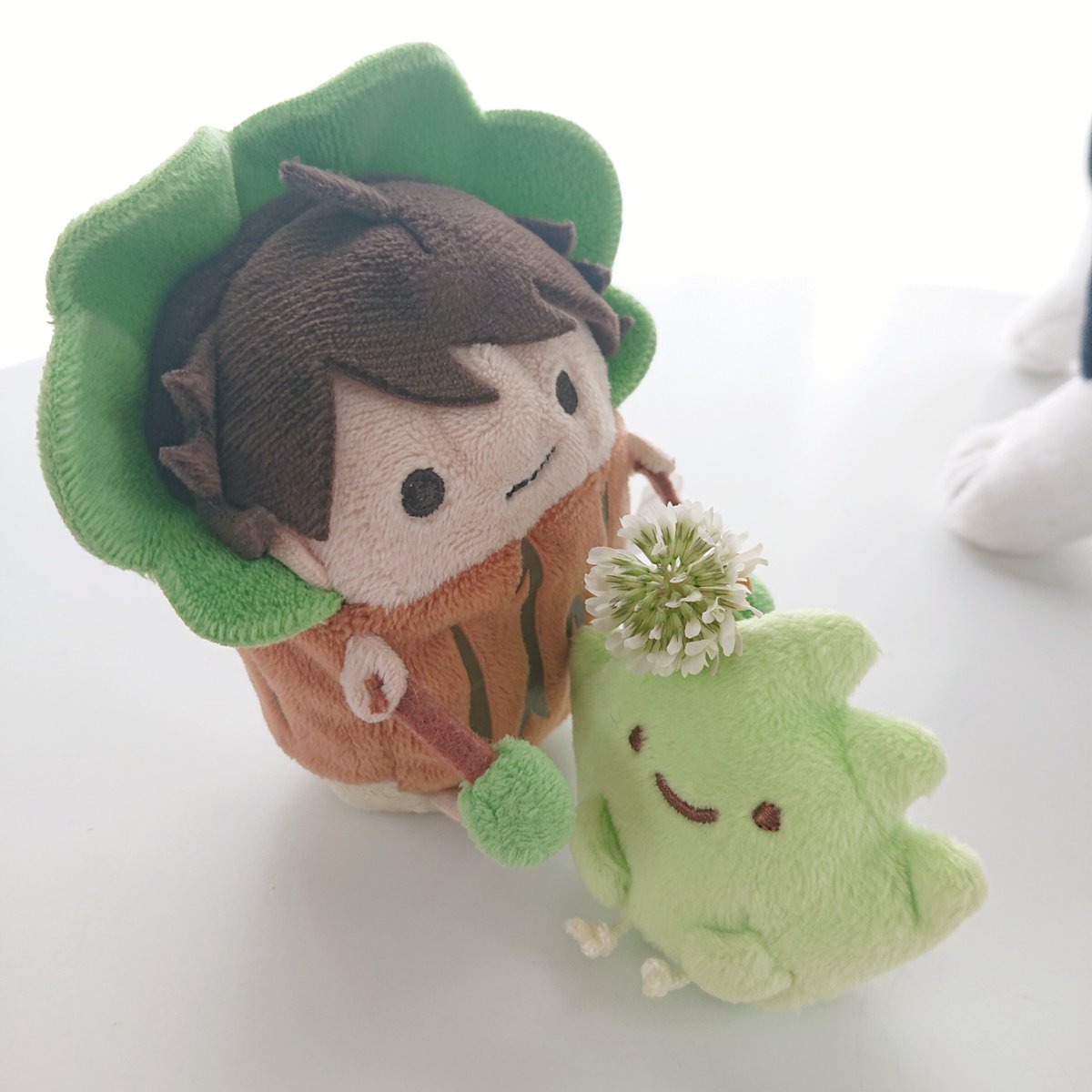 H3uHu1's tweet photo. 🌳🌱💚🌼 https://t.co/HS4mIwdNaG