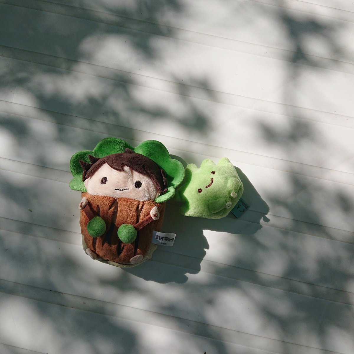 H3uHu1's tweet photo. 🌳🌱💚🌼 https://t.co/HS4mIwdNaG