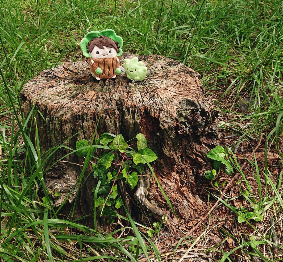 H3uHu1's tweet photo. 🌳🌱💚🌼 https://t.co/HS4mIwdNaG