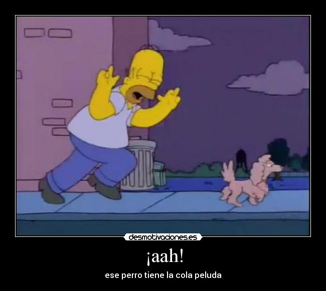 SP4CE_RANGER's tweet photo. Juno todo el tiempo...
#Distraida https://t.co/PZJ7ej7TED