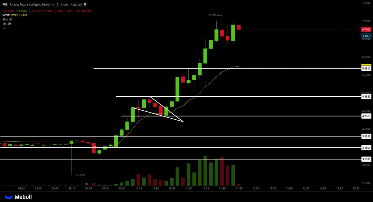 🐅hassytrades tweet media