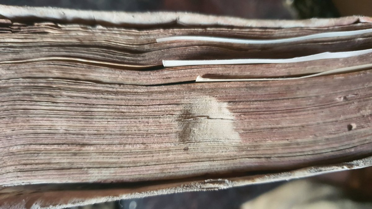 Erika_bgl's tweet photo. Busco libros  a los que les trataron de borrar la marca de fuego, al parecer.
Este está en el Bajío,  dejen sus fotos y ubicación acá abajo.😉 👇👇👇 https://t.co/CTV1IcRidc