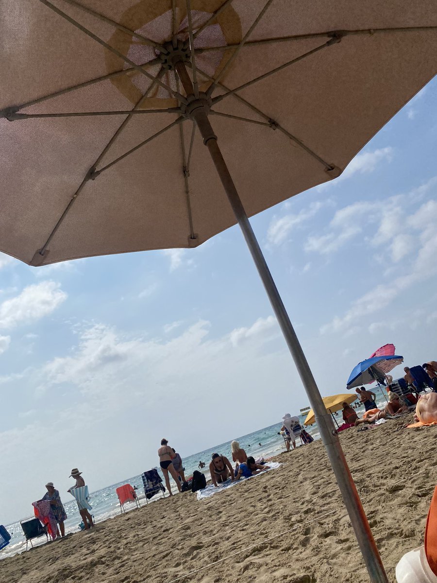 🖤⋆✦ 𝔎𝔞𝔱 ✦⋆ 🖤 tweet media