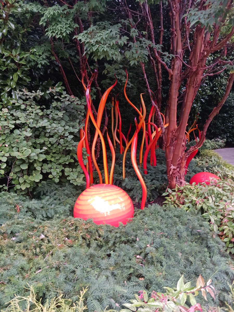 The glass gardens by the space needle in Seattle it was spectacular