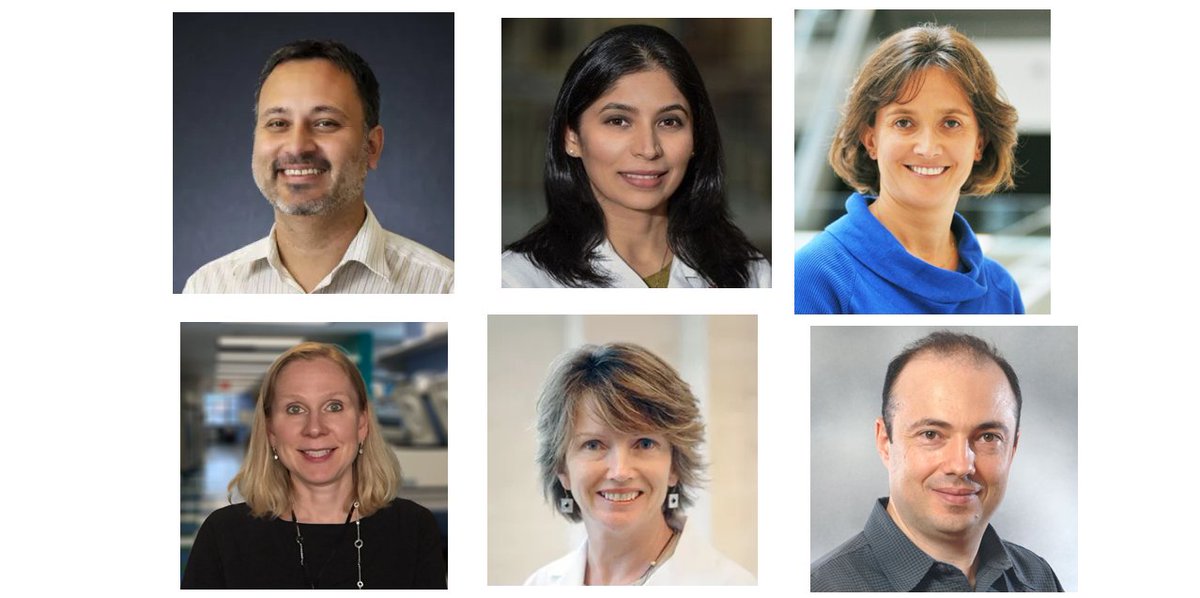 From the Labs at Baylor College of Medicine (@bcmfromthelabs) on Twitter photo Baylor College of Medicine receives more than $17 million from <a href="/CPRITTexas/">CPRIT</a> #CancerResearch <a href="/BCMCancerCenter/">Dan L Duncan Comprehensive Cancer Center</a> <a href="/CAGTHouston/">Center for Cell and Gene Therapy</a> blogs.bcm.edu/2024/08/22/fro… via <a href="/bcmhouston/">BCMHouston</a> Baylor College of Medicine receives more than $17 million from <a href="/CPRITTexas/">CPRIT</a> #CancerResearch <a href="/BCMCancerCenter/">Dan L Duncan Comprehensive Cancer Center</a> <a href="/CAGTHouston/">Center for Cell and Gene Therapy</a> blogs.bcm.edu/2024/08/22/fro… via <a href="/bcmhouston/">BCMHouston</a>
