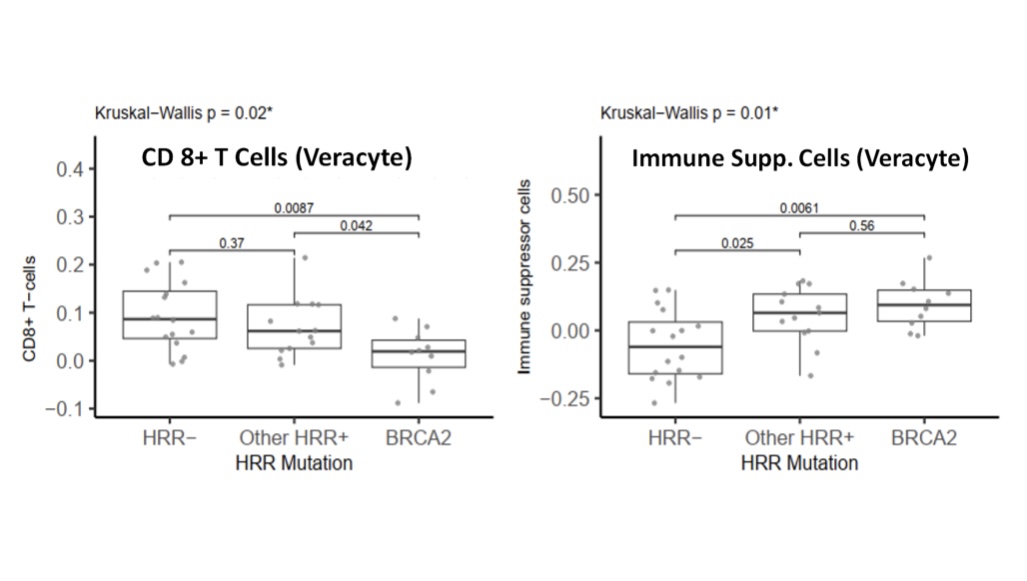 Emmanuel Antonarakis (@eantonarakis) on Twitter photo Huge congrats to <a href="/CathyHandy/">Cathy Handy Marshall, MD MPH</a> and <a href="/BenTeply/">Benjamin Teply</a> for this paradigm-breaking study. In BCR prostate cancer, Olaparib shows profound activity (w/out ADT!) in HRRm+ pts, esp. in BRCA2+ pts (100% response rate). <a href="/ThePCCTC/">The PCCTC</a> <a href="/hopkinskimmel/">Johns Hopkins Kimmel Cancer Center</a> @umncancer jamanetwork.com/journals/jamao… Huge congrats to <a href="/CathyHandy/">Cathy Handy Marshall, MD MPH</a> and <a href="/BenTeply/">Benjamin Teply</a> for this paradigm-breaking study. In BCR prostate cancer, Olaparib shows profound activity (w/out ADT!) in HRRm+ pts, esp. in BRCA2+ pts (100% response rate). <a href="/ThePCCTC/">The PCCTC</a> <a href="/hopkinskimmel/">Johns Hopkins Kimmel Cancer Center</a> @umncancer jamanetwork.com/journals/jamao…