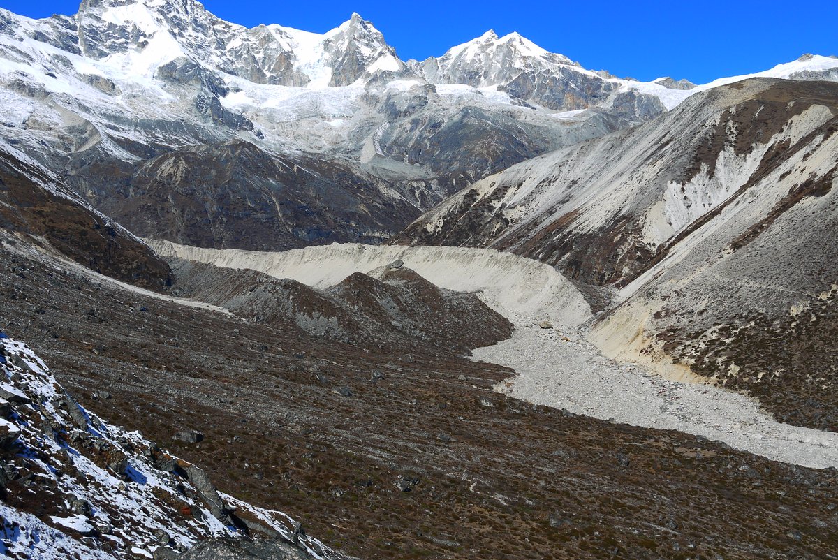 Matt Westoby tweet media