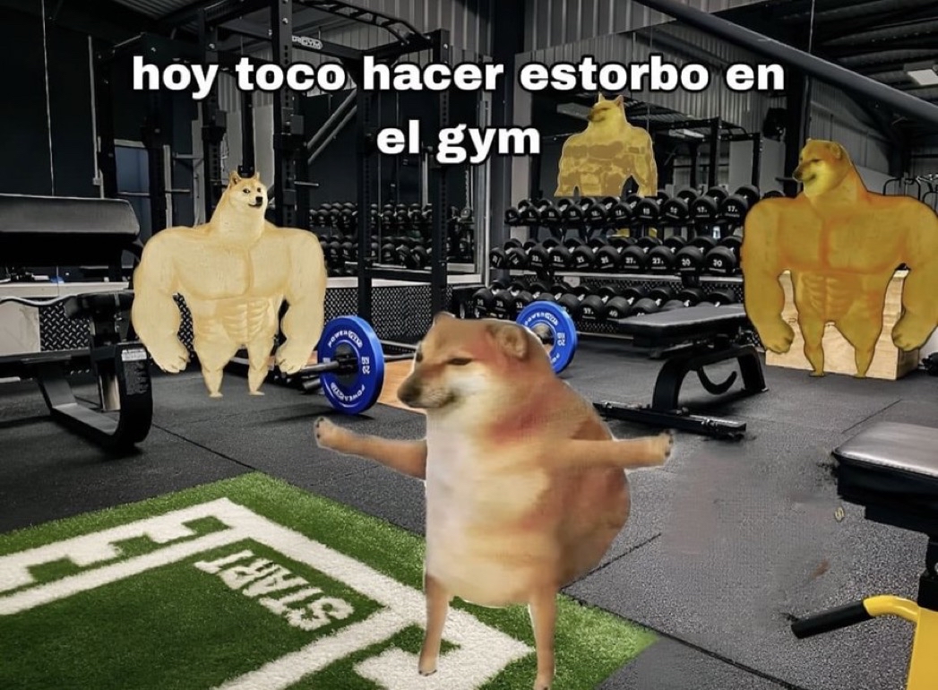Mi rutina del gym.