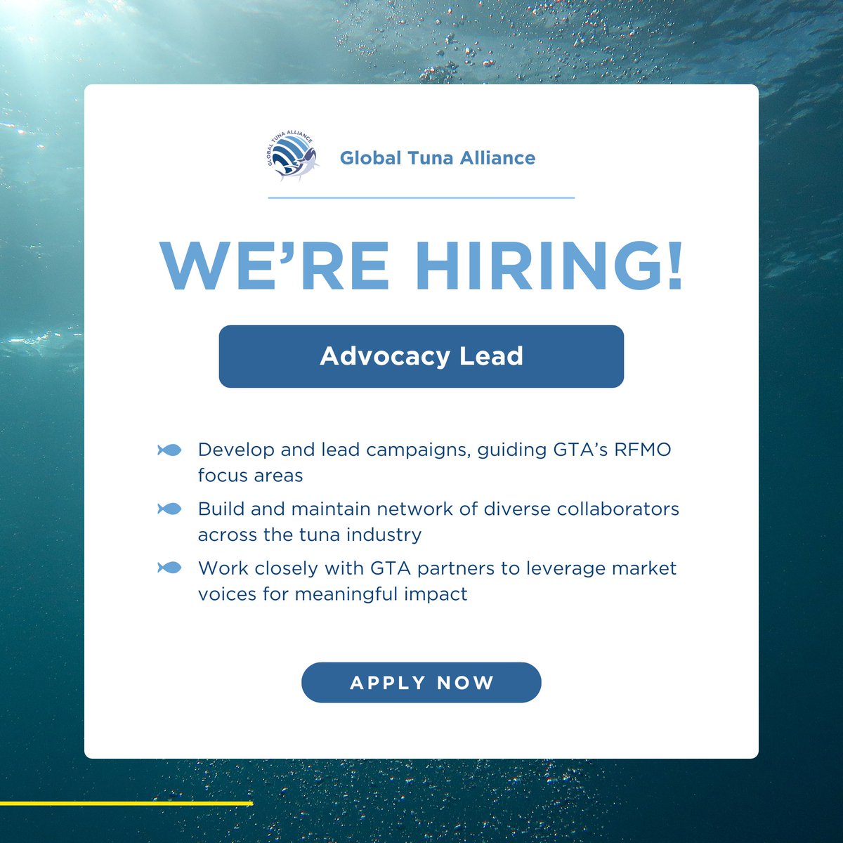 🌍 Join the Global Tuna Alliance as our Advocacy Lead! 🐟

The Global Tuna Alliance (GTA) is seeking a seasoned professional to lead our advocacy and engagement strategies in international fisheries management.

⚡APPLY NOW⚡ at apply.workable.com/the-global-tun… !