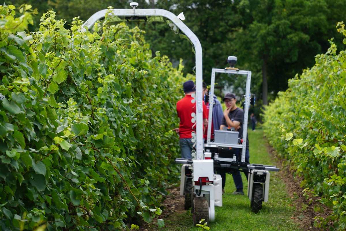 Cornell's tweet image. It may seem like @NASA is an unlikely candidate to help in food security, but through a partnership between the agency and @CornellAgriTech  and @CornellCALS, innovative tools are being developed to help bolster disease detection in specialty crops.
 
More at