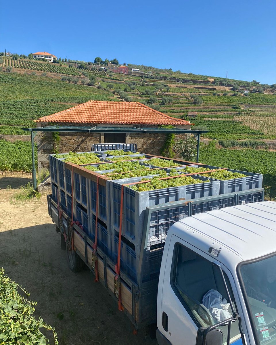 Symington Family Estates tweet media