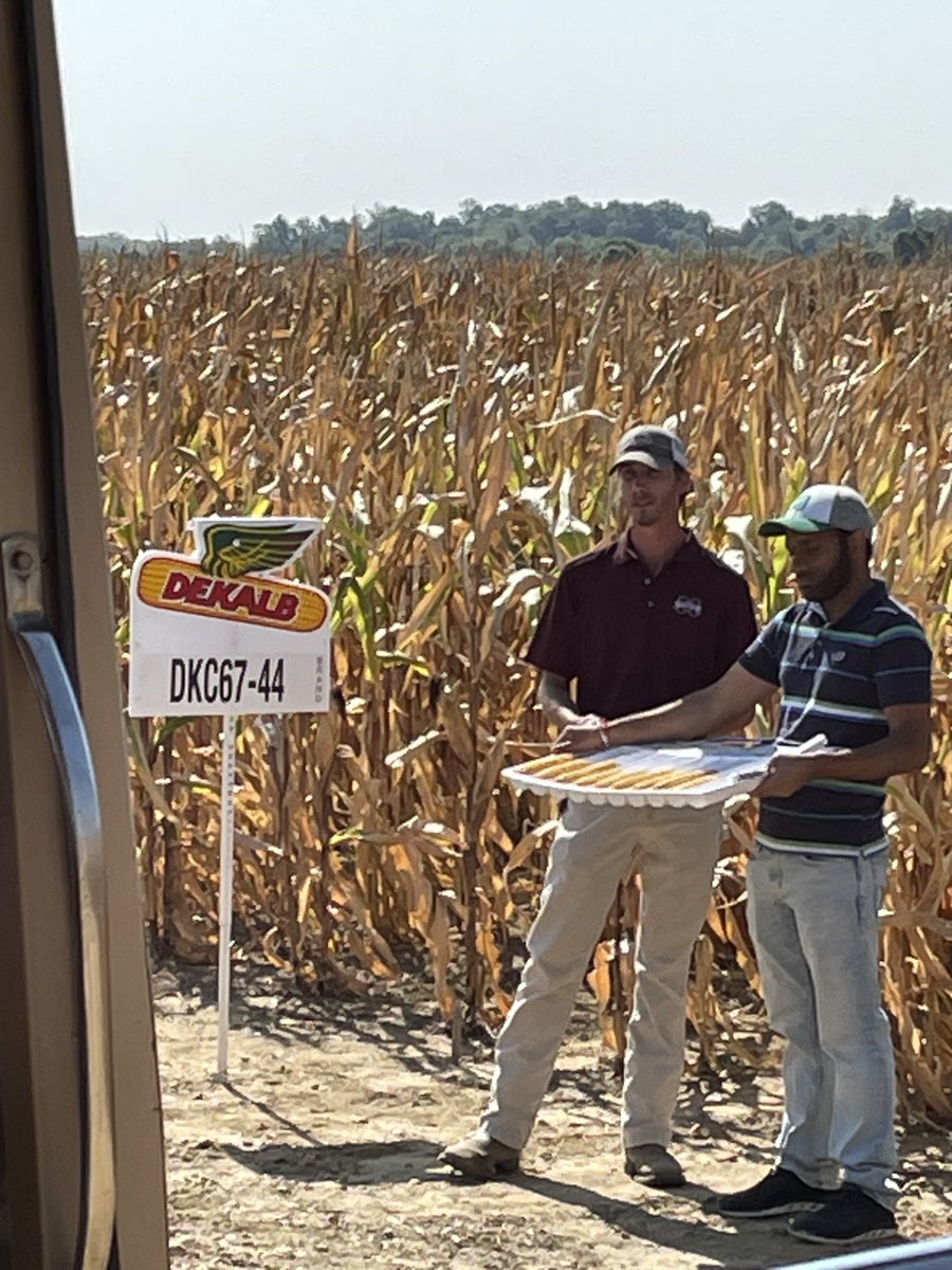 We love showcasing our research to producers! The #MAFES and <a href="/MSUExtService/">MSU Extension</a> are hosting a field day at <a href="/MSU_nmrec/">North MS R&E Center</a>.