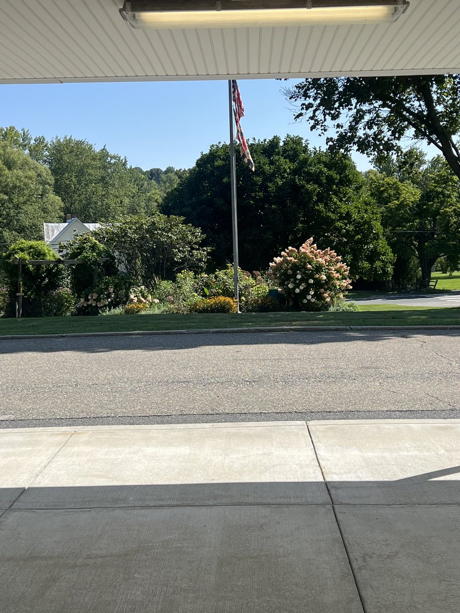 Kristen Canning tweet media