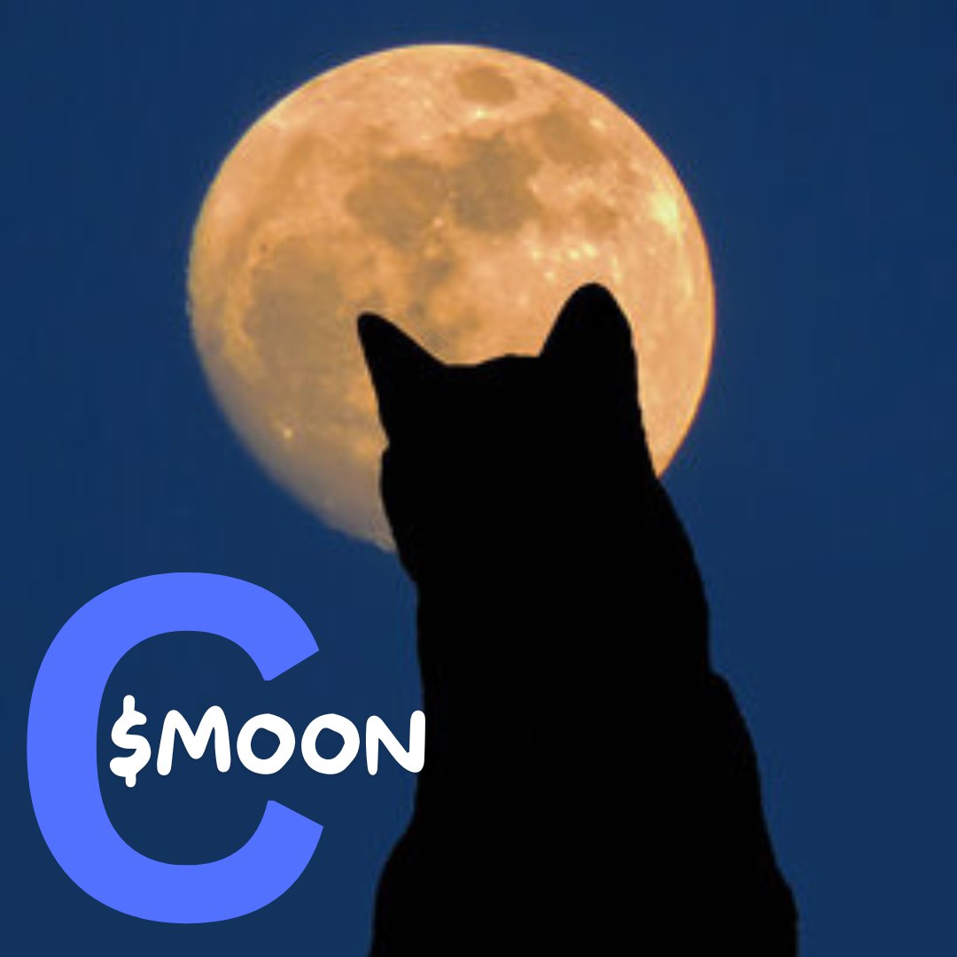 MoonCatARZ's tweet photo. @skipper11233 @W0LF0FCRYPT0 @base https://t.co/cIFAdyrEoY