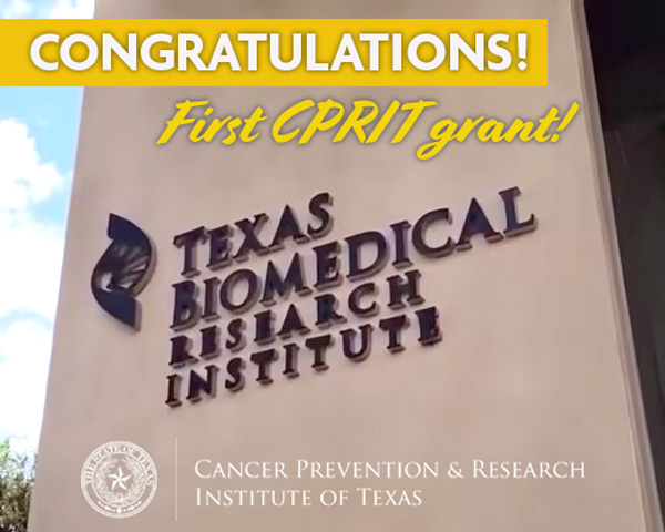 CPRITTexas's tweet photo. Congratulations to @txbiomed for receiving their first #CPRIT grant yesterday!  Shouxiong Huang will study the ability to stimulate mucosal-associated invariant T (MAIT) cells to kill cancer cells.  Together we're helping #TexansConquerCancer
Read More: https://t.co/LfukSpzFen https://t.co/XL5adyEQKf