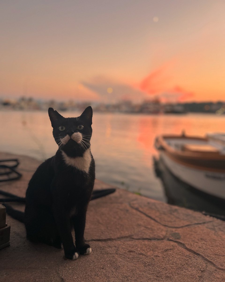 Günün pozitifi’😍