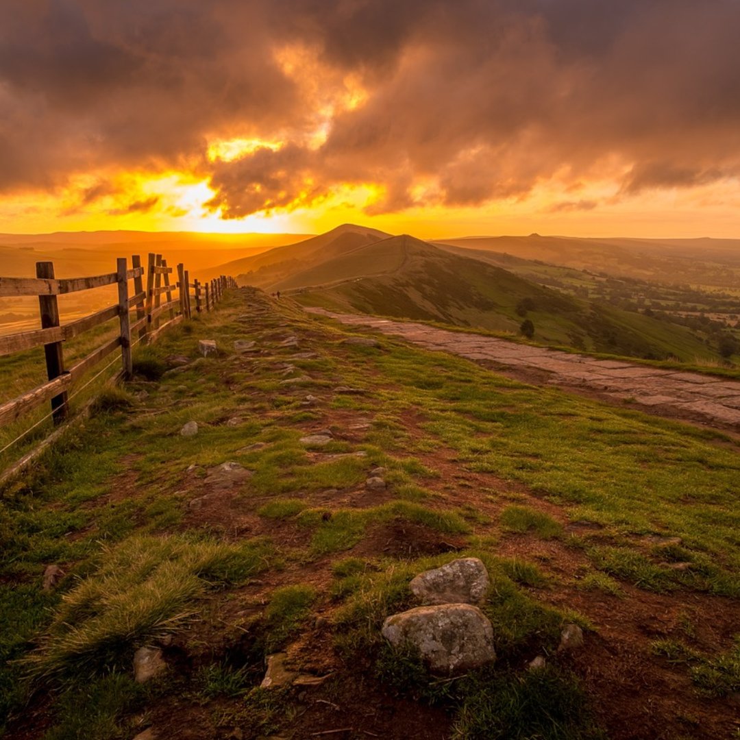 Measham Self Drive tweet media