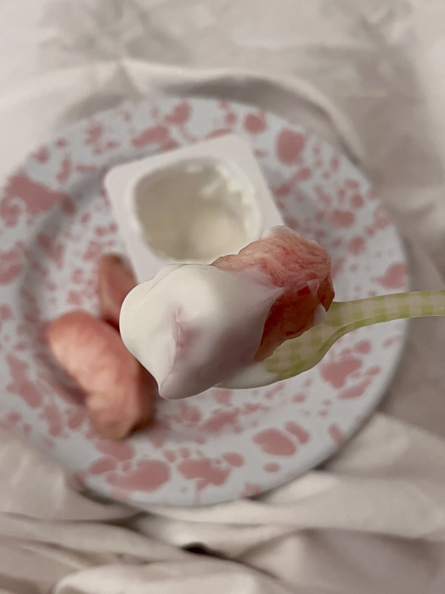 새벽야식개강추조합
복숭아 요플레에 real 복숭아 찍어먹기
과즙이랑 요플레 입속에서 섞이면서 축제열림!!!!!