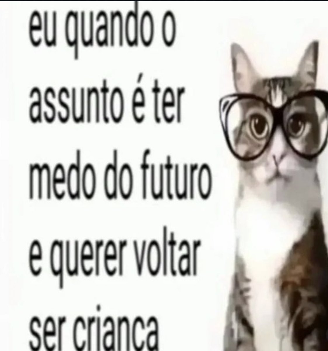 shitpostverdade's tweet photo. https://t.co/LGRsKCbvHd