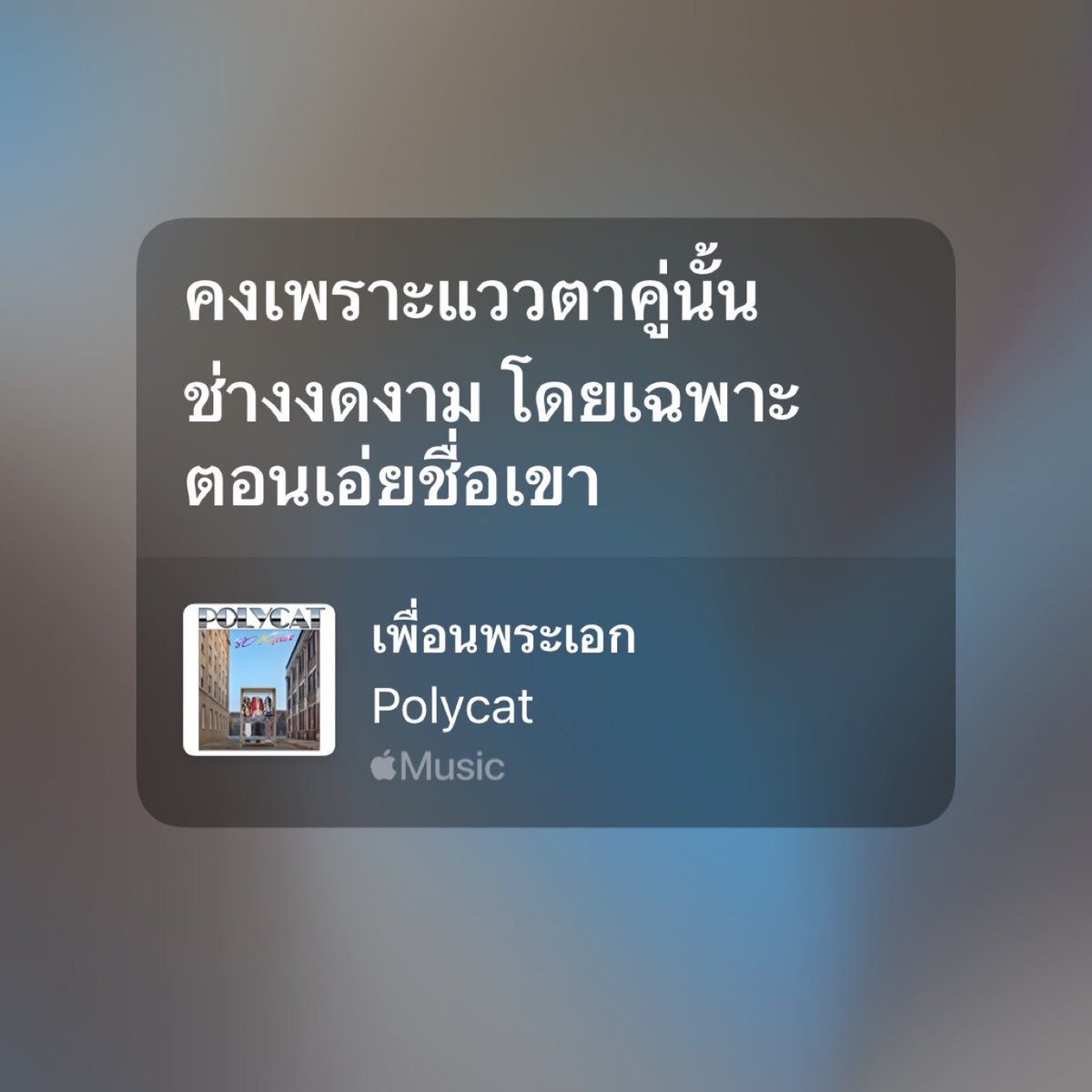 9 tweet media
