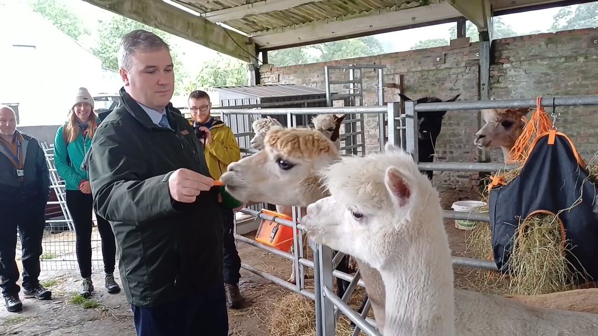 DigConnectScot's tweet photo. Minister @ThomasCArthur celebrated the successful completion of the Scottish 4G Infill (#S4GI) programme by visiting Nith Valley Alpaca Farm, one of the hundreds of businesses benefiting from 4G connectivity through this fantastic programme. 

More info: https://t.co/BdAgQjy9kq https://t.co/HiAI8XWEg7