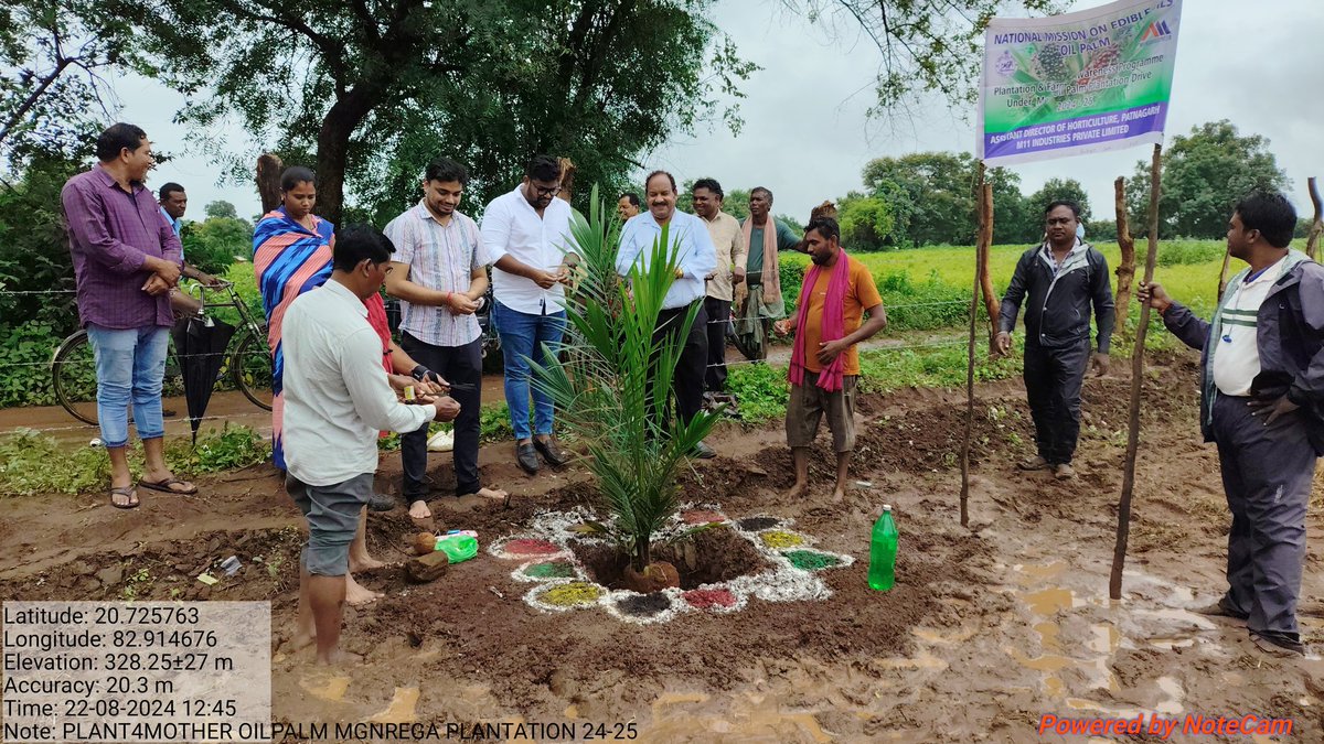AHO_Padmapur's tweet photo. Inaugural Horticulture Plantation of Oil Palm and Mango under MGNREGA along with #Plant4Mother at Belpara Block along with BDO, Belpara, VC, Belpara, Sarpanchs and P. Samiti Members @krushibibhag @Horticultureod1 @sksingh_deo @KVSinghDeo1 @OdishaSecretary @CollectorBgr https://t.co/lYN2ZttJ65