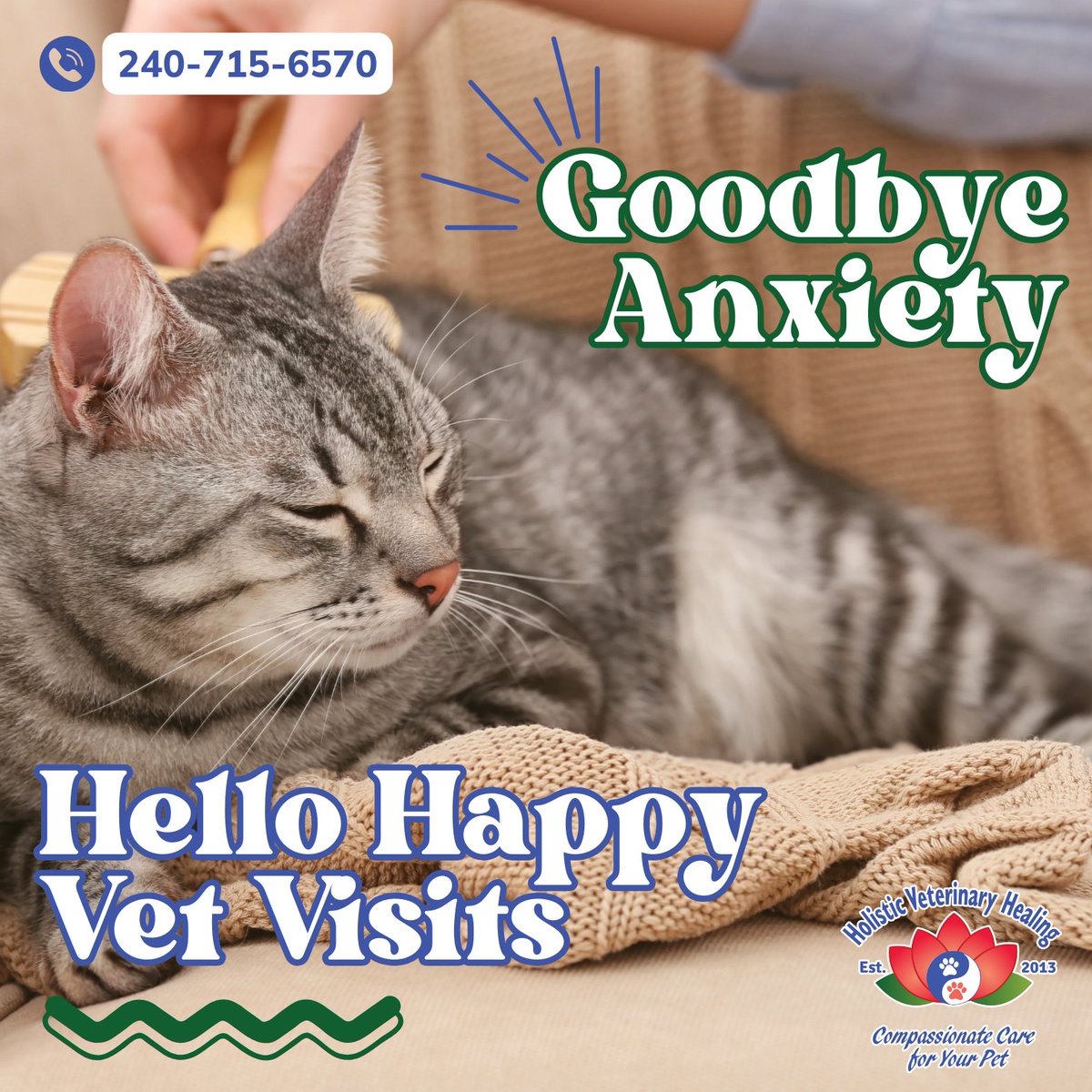 holvethealing's tweet image. Is your cat stressed about their check-up? 🐈💆‍♀️

Use calming pheromone spray 🌿, play soft music 🎵, and offer treats and cuddles 🤗 to help them relax.

Contact us for personalized advice and make vet visits a paw-sitive experience! 😸

📞 240-715-6570

#CalmCat #HappyVetVisits