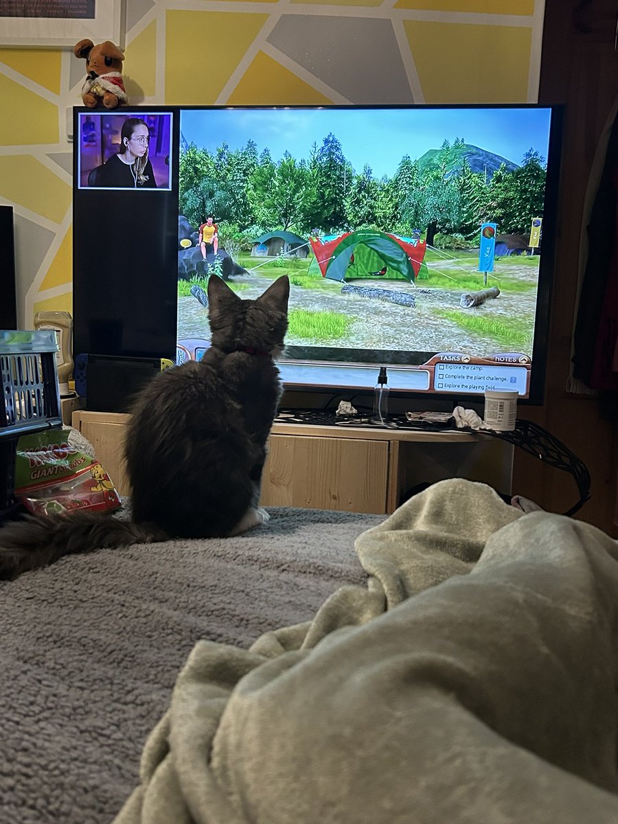 GirlInTheR2D2's tweet photo. Calamity loves watching @GabSmolders at 16 weeks old she has good taste!! https://t.co/7p6vWrqboQ