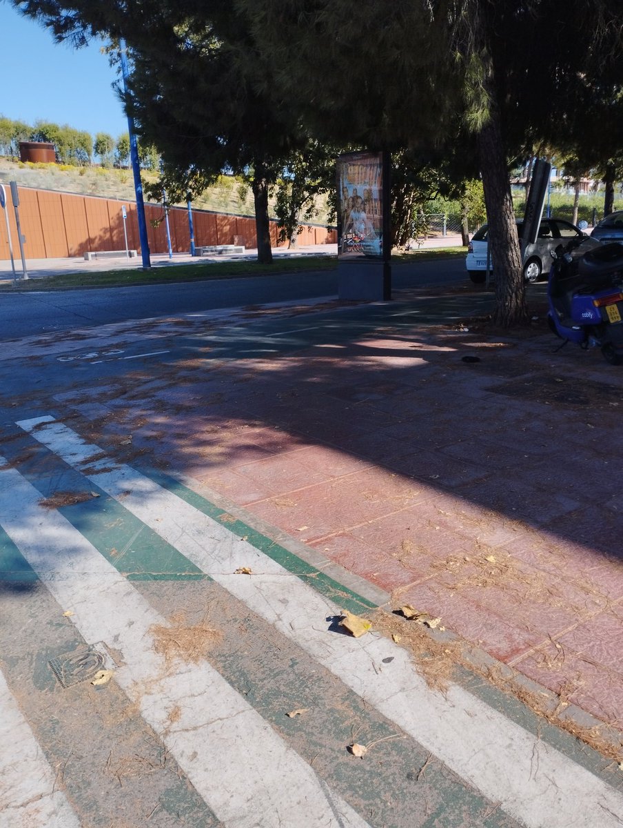 NeliSan8's tweet photo. @LipasamSevilla @lavuelta @Ayto_Sevilla @eveliarincon Por favor, ¿¿es posible mantener esto limpio??Acabo de tener un accidente en bicicleta y no es la primera vez que encontramos gente accidentada aquí por culpa de la poca limpieza y mantenimiento que tiene los alrededores de torre Sevilla junto al edificio de la junta de Andalucía https://t.co/0I7x7E8XVD