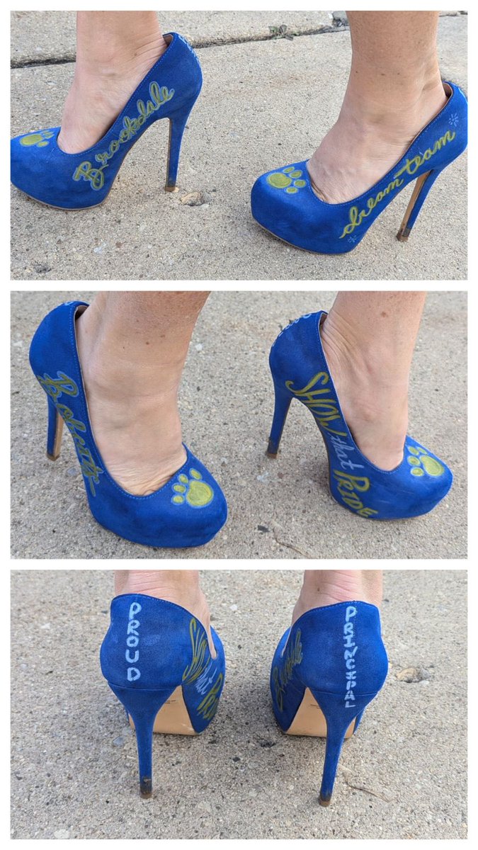 No caption needed. 💙💛 Best gift ever @rustsrookery! #brookdaleroars
