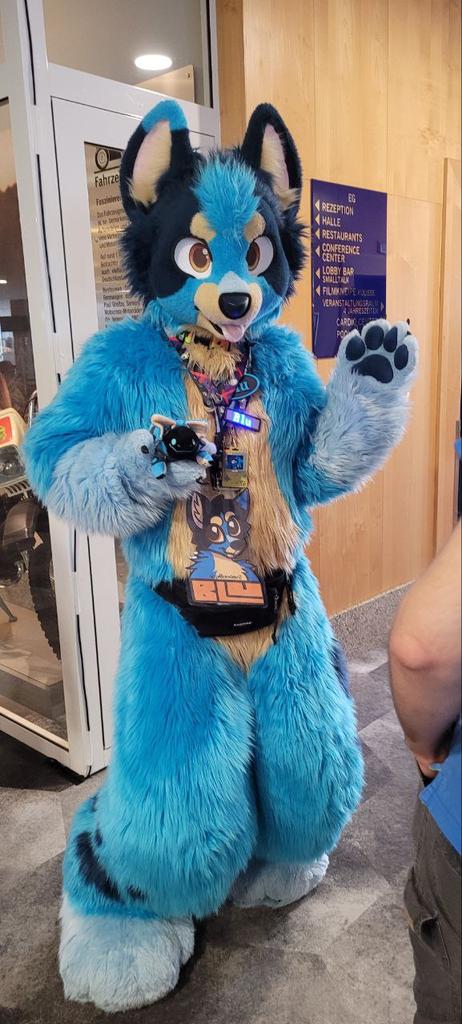 Nox 🔜 AC, Awoostria, EAST, EF tweet media