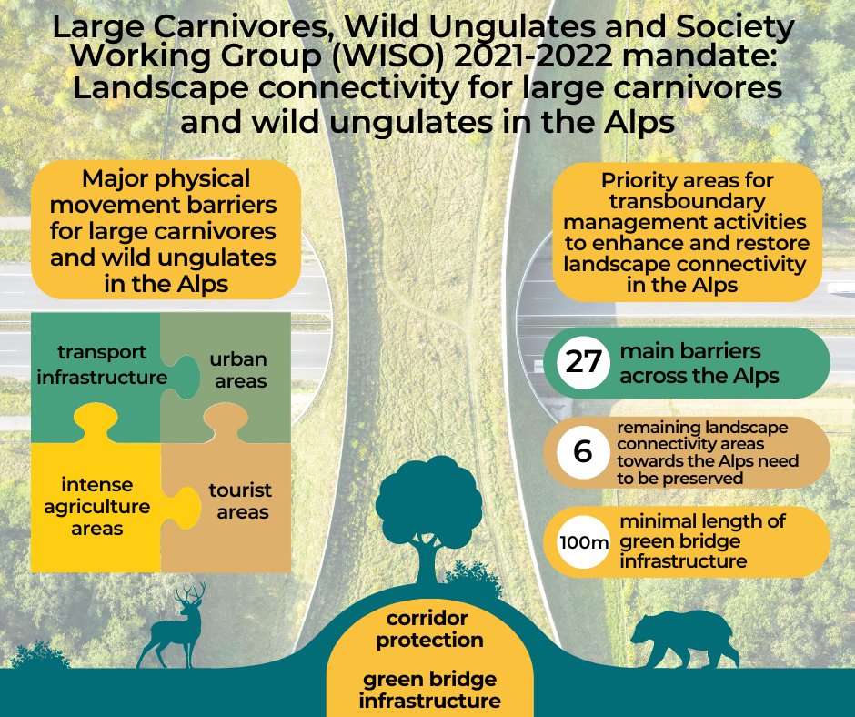 🚧🐻🦌 In its previous mandate, our Working Group on  Large Carnivores, Wild Ungulates &amp; Society examined barriers to the movement of #Wildlife in the #Alps. Read more in their report: loom.ly/Z_Hp_YE