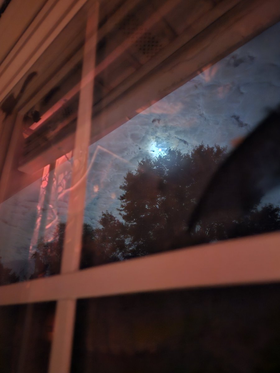 Worm 🪱 tweet media