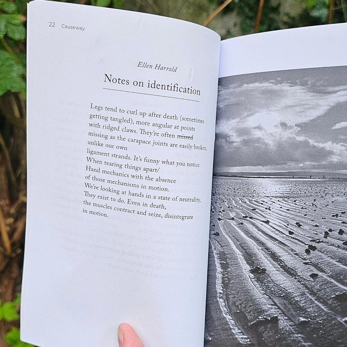 Ellen Harrold (@ellen_harrold) on Twitter photo My first poems published as gaeilge! Cuimhne Roghaitheach, Gothacas, and Selective memory are in the latest issue of Causeway Cabhsair <a href="/CausewayMag/">CausewayCabhsair</a>. Both Cuimhne Roghaitheach and Gothacas are shown alongside translations into English. #poetry #filiocht My first poems published as gaeilge! Cuimhne Roghaitheach, Gothacas, and Selective memory are in the latest issue of Causeway Cabhsair <a href="/CausewayMag/">CausewayCabhsair</a>. Both Cuimhne Roghaitheach and Gothacas are shown alongside translations into English. #poetry #filiocht