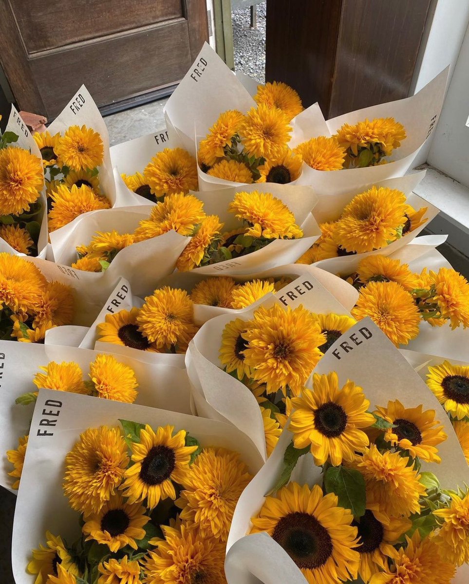 🌻Obsessed with sunflowers🌻