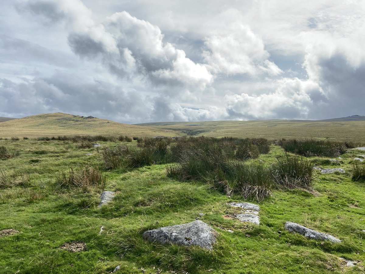 Victoria Robinson | FCIM tweet media