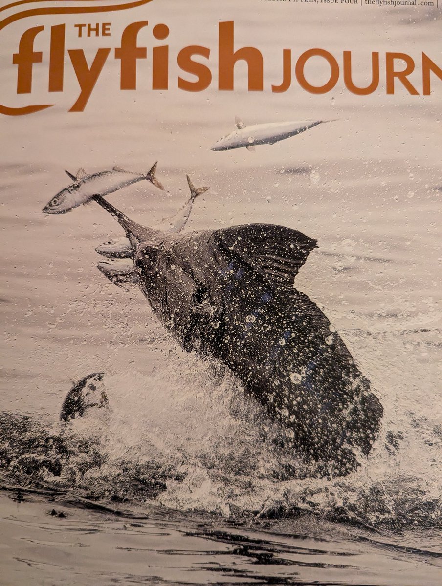 DanRodricks's tweet photo. Amazing cover photo of The Flyfish Journal shows striped marlin spearing prey in Magdalena Bay, Mexico. @FlyfishJournal https://t.co/xBRyyNhz1X