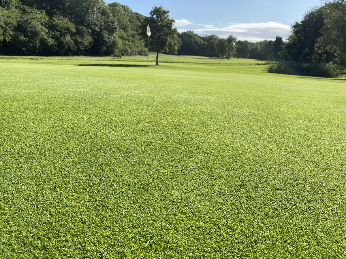 MikeRussell04's tweet image. Sward density unreal at the minute with current GP rates. HOC dropped;  brush cutting and double cuts to keep up! Heading in to maintenance week early September in a strong position for recovery 💪🏻👌🏻 #greenkeeper #surfacerefinement @PoultonPark