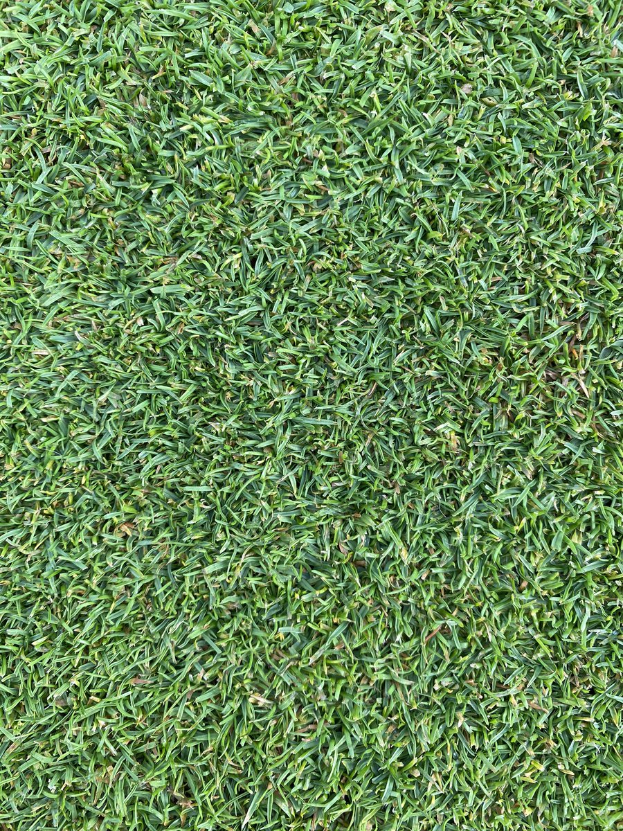 MikeRussell04's tweet image. Sward density unreal at the minute with current GP rates. HOC dropped;  brush cutting and double cuts to keep up! Heading in to maintenance week early September in a strong position for recovery 💪🏻👌🏻 #greenkeeper #surfacerefinement @PoultonPark