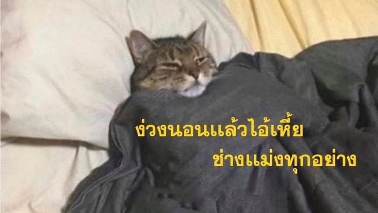 Mood ของกูตอนนี้ :