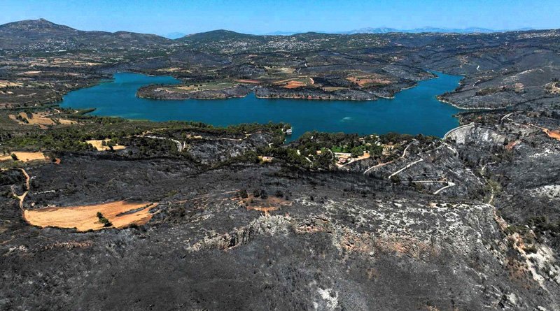 Φωτιές: ημερομην. έναρξης της αντιπυρικής περιόδου ορίστηκε η 1η Μάη κ ανακοινώθηκε με πάσα επισημότητα.
Πότε ανακοίνωσε προσλήψεις-εξπρές 1.136! εποχιακών η Γεν. Δνση Δασών του υπργ. Περιβάλλοντος κ Ενέργειας; 
👉 6 Αυγούστου! Και μάλιστα με… επείγον που έστειλε στα Δασαρχεία
