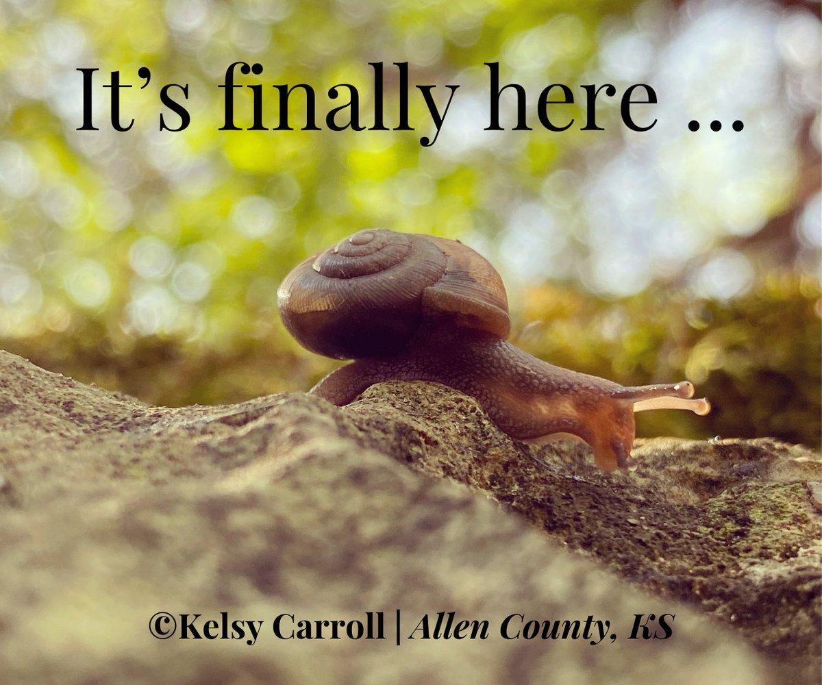 We're super excited to announce that you can now submit your entries for the 2024 Rural #Kansas Photography Contest! These wonderful photos submitted by Kansans from all walks of life showcase the beauty of our state to future health care providers. kumc.edu/photocontest