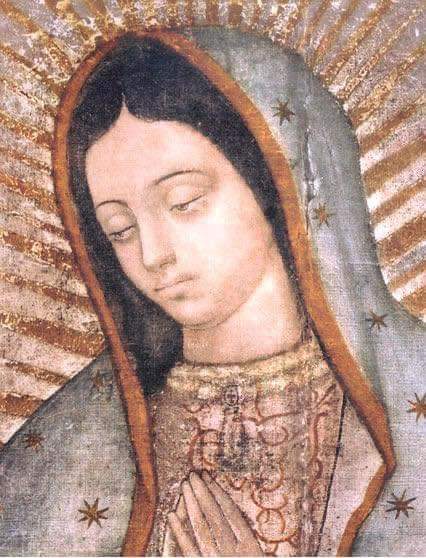 ¡OH SEÑORA MÍA, Oh Madre! Yo me ofrezco enteramente a ti; y en prueba de mi amor de hijo te consagro en este día mis ojos, mis oídos, mi lengua, mi corazón; en una palabra, todo mi ser. Ya que soy todo tuyo, Madre buena, guárdame y defiéndeme como cosa y posesión tuya. Amén

❤️🙏